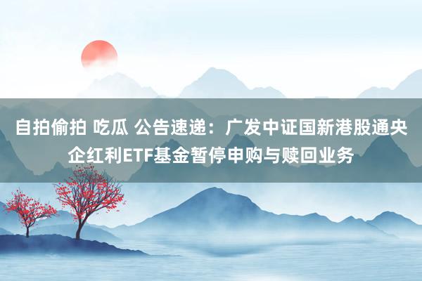 自拍偷拍 吃瓜 公告速递：广发中证国新港股通央企红利ETF基金暂停申购与赎回业务