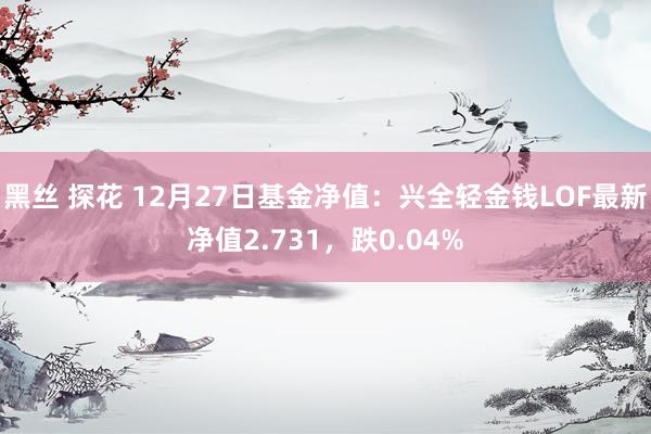 黑丝 探花 12月27日基金净值：兴全轻金钱LOF最新净值2.731，跌0.04%