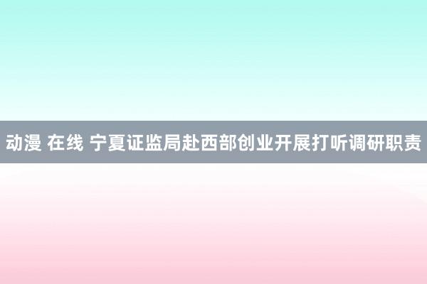 动漫 在线 宁夏证监局赴西部创业开展打听调研职责