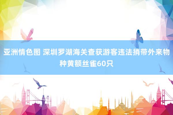 亚洲情色图 深圳罗湖海关查获游客违法捎带外来物种黄额丝雀60只