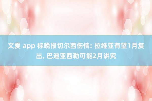 文爱 app 标晚报切尔西伤情: 拉维亚有望1月复出， 巴迪亚西勒可能2月讲究