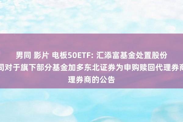 男同 影片 电板50ETF: 汇添富基金处置股份有限公司对于旗下部分基金加多东北证券为申购赎回代理券商的公告