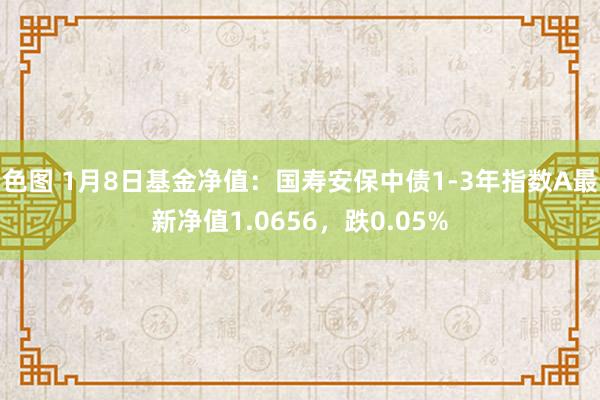 色图 1月8日基金净值：国寿安保中债1-3年指数A最新净值1.0656，跌0.05%