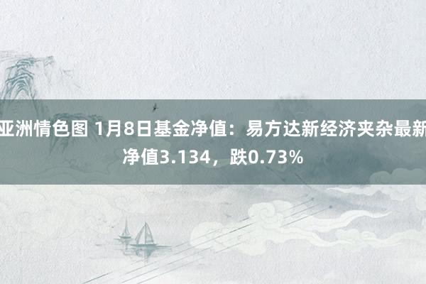 亚洲情色图 1月8日基金净值：易方达新经济夹杂最新净值3.134，跌0.73%