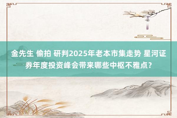 金先生 偷拍 研判2025年老本市集走势 星河证券年度投资峰会带来哪些中枢不雅点？