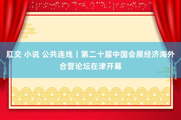 肛交 小说 公共连线｜第二十届中国会展经济海外合营论坛在津开幕