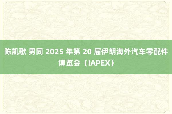 陈凯歌 男同 2025 年第 20 届伊朗海外汽车零配件博览会（IAPEX）