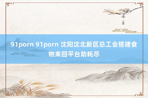 91porn 91porn 沈阳沈北新区总工会搭建食物来回平台助耗尽