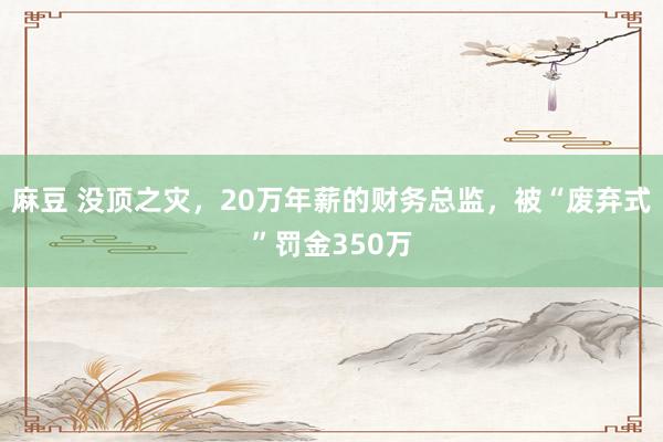 麻豆 没顶之灾，20万年薪的财务总监，被“废弃式”罚金350万